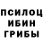 Псилоцибиновые грибы ЛСД Grisel Closas