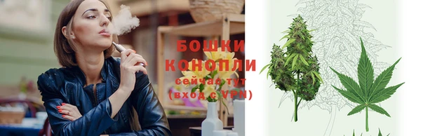 МДПВ Ельня
