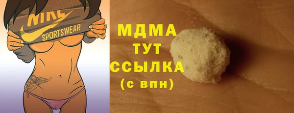 МДПВ Ельня