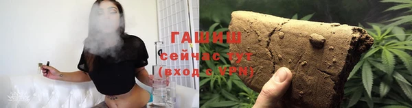 МДПВ Ельня