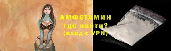 МДПВ Ельня