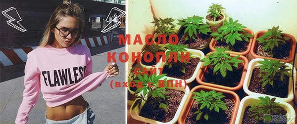 МДПВ Ельня