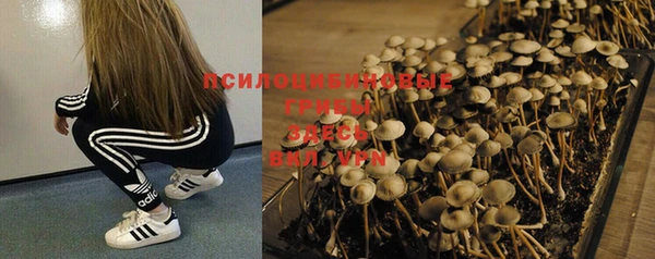 МДПВ Ельня