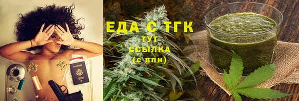 МДПВ Ельня