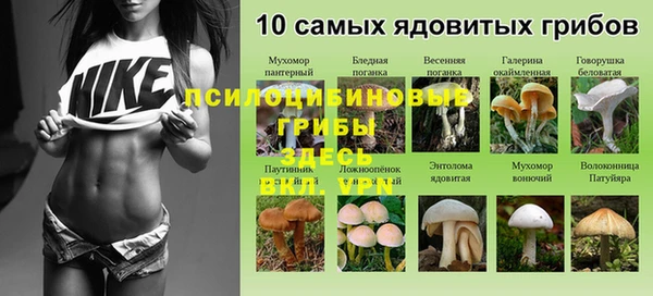 кокаин Дмитров
