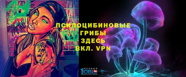 mdpv Елизово