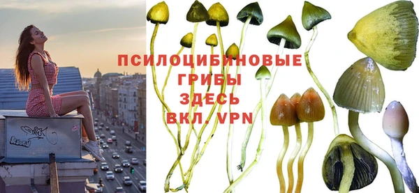 MDMA Елабуга