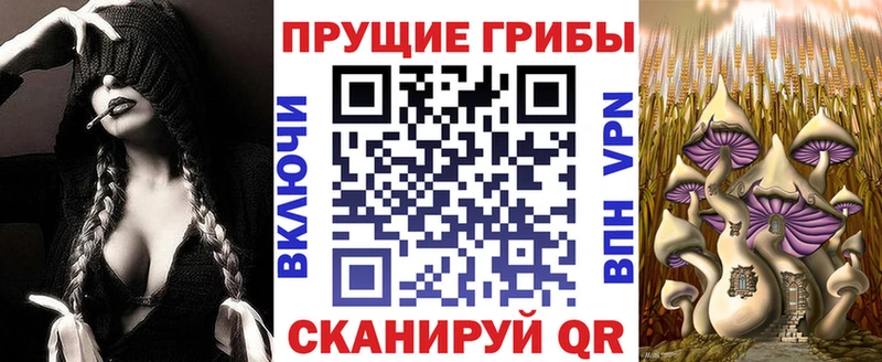 Галлюциногенные грибы ЛСД  Купить где  Малгобек 